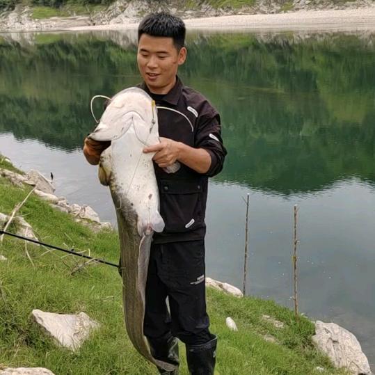 疯狂鲶鱼哥(Carpkk钓手)