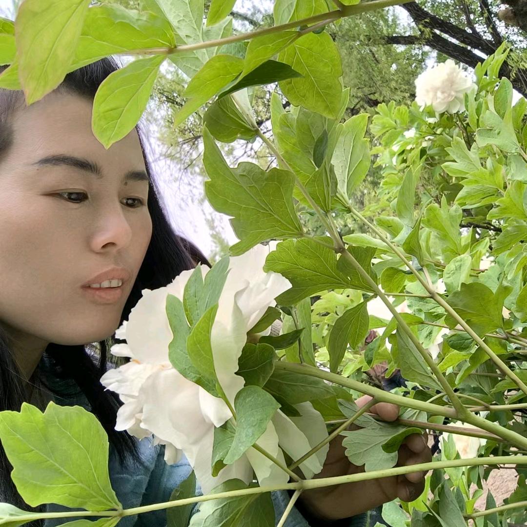 苏苏~（每天不定时直播）