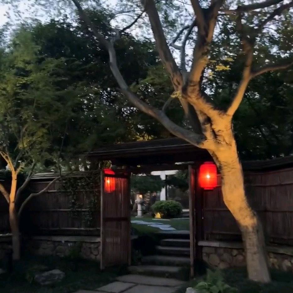 小小黄