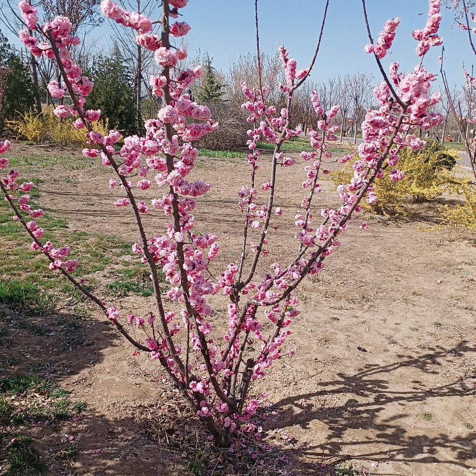 ꧁💞守护᭄ᩚ꯭ᩚ丽💞᭄᪲ᩚ꯭ᩚ꧂