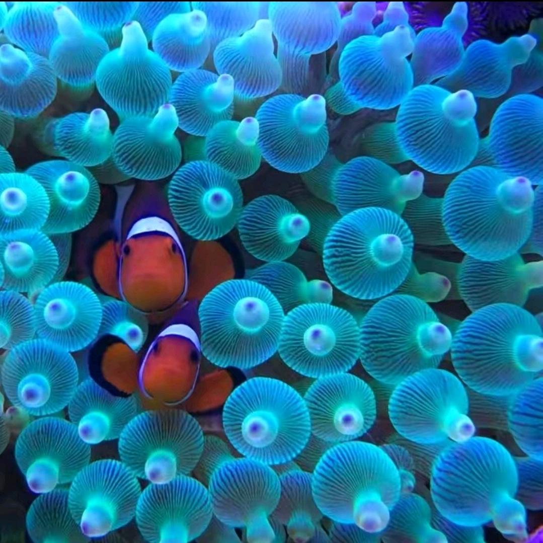 🌈꧁꫞꯭二哥꯭꫞꧂🌈