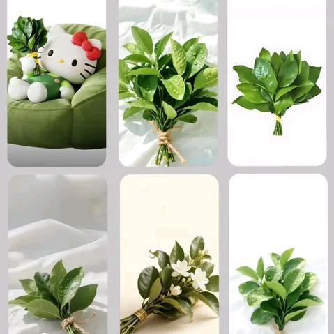 爱自己(๑><๑）