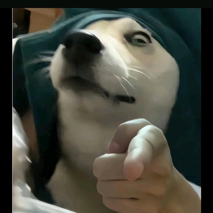 炉石、呆弟