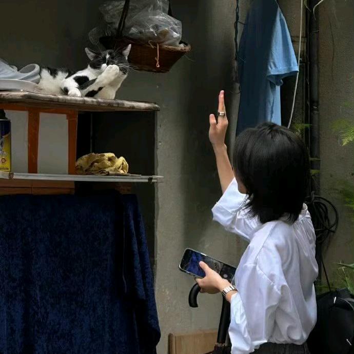 没素汁gkgksrchkjtubk