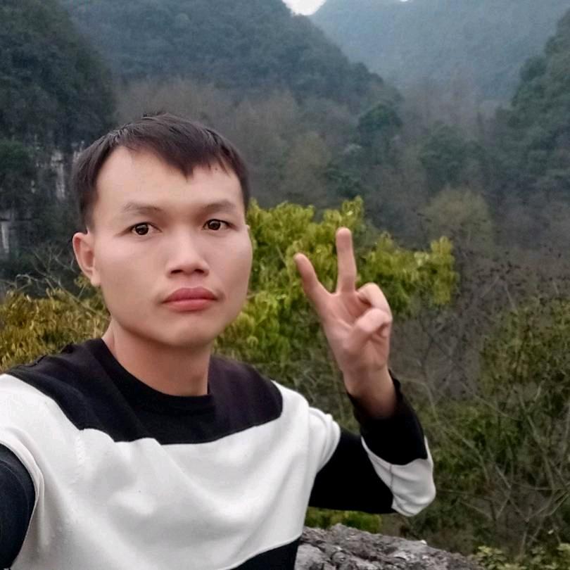 壮乡小波