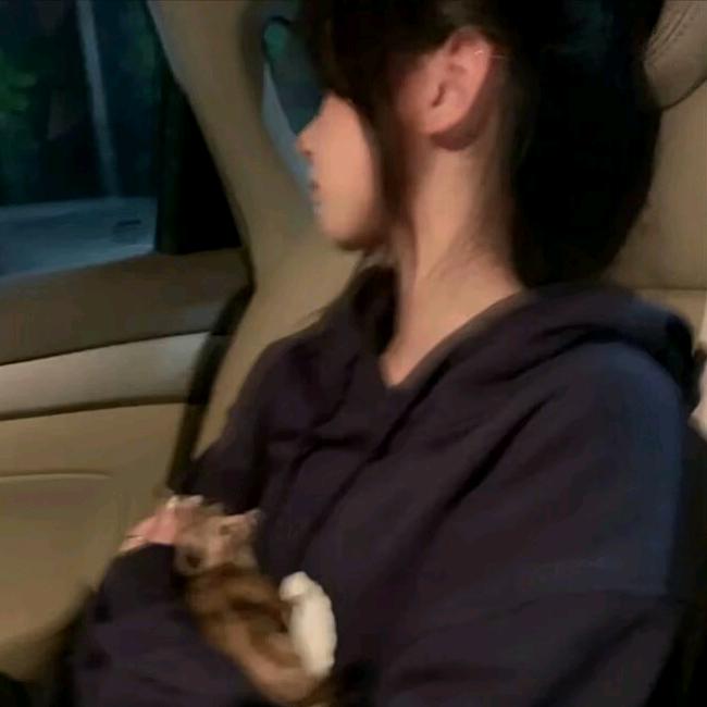 没烦恼.ᥫᩣ.  ﾟ