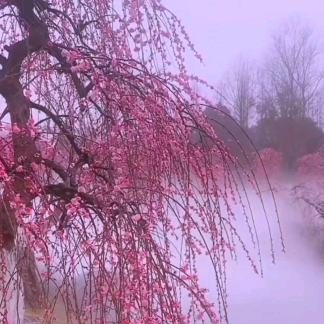 ღ“暒宸汏嗨沬唻妸剘”͡ꦿ᭄࿐