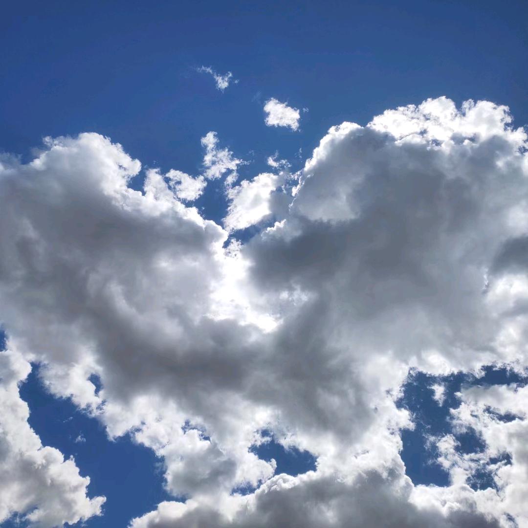 佳佳🎄(新人助力)直播间