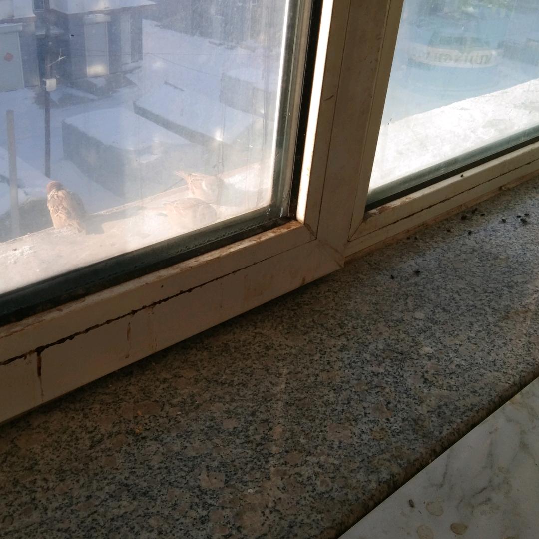 ：