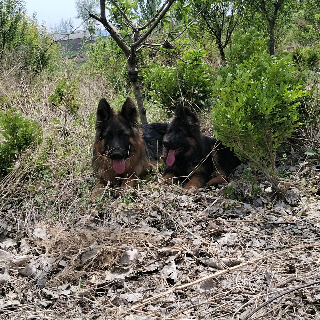 沭阳张飞石材打磨晶面固化地坪打磨旧地坪翻