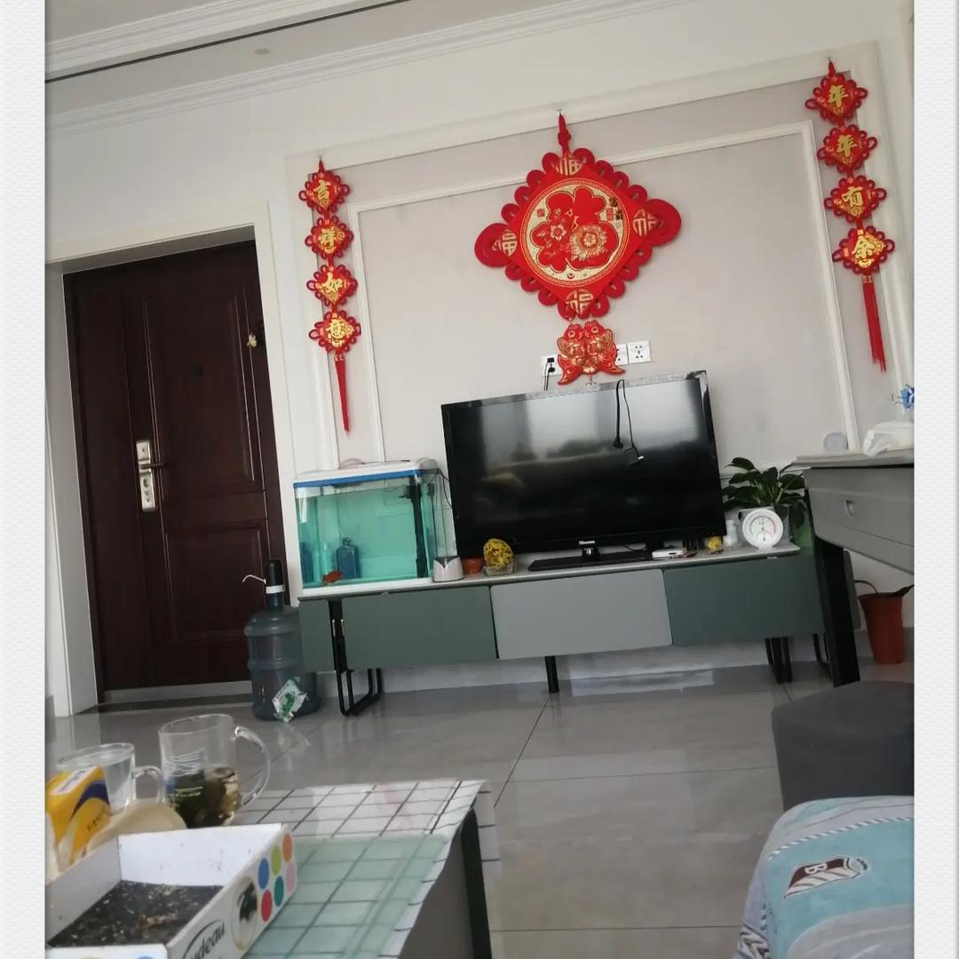 骑着蚂蚁闯红灯