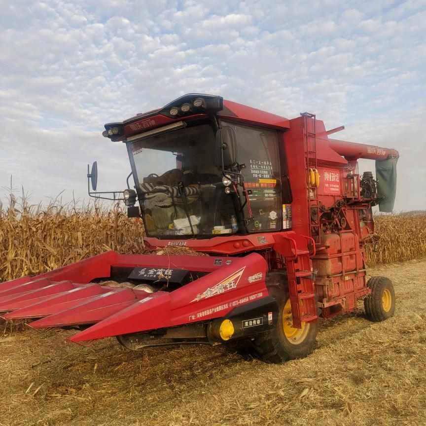 李小利，专业收割，小麦，玉米