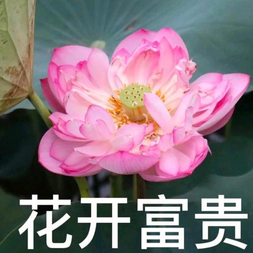 幸福美满