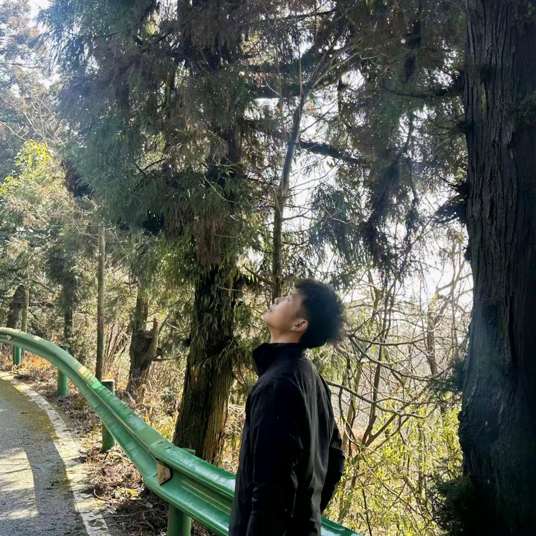晏楚