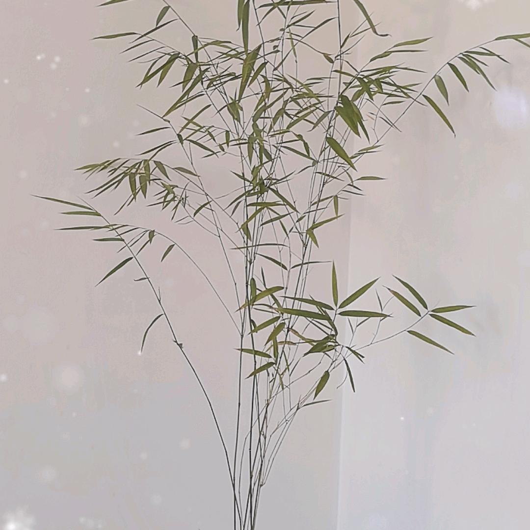心宽财自来