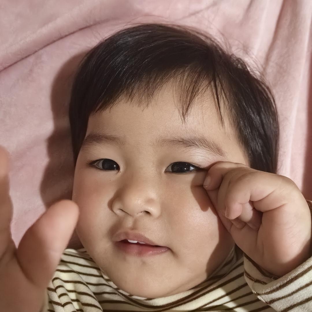 狗剩子的快乐生活