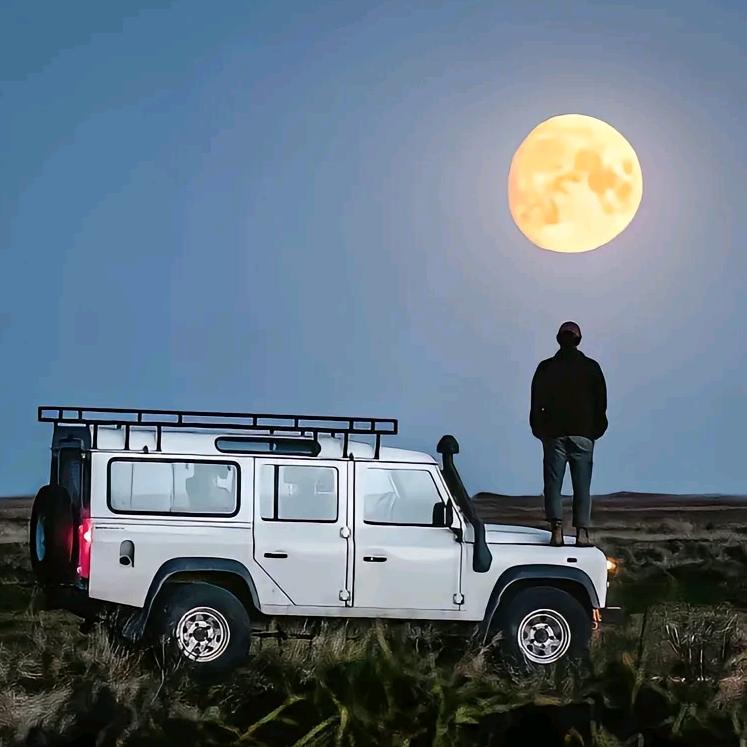 豆豆好物挖掘机