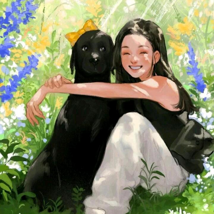 精品二手车汽车