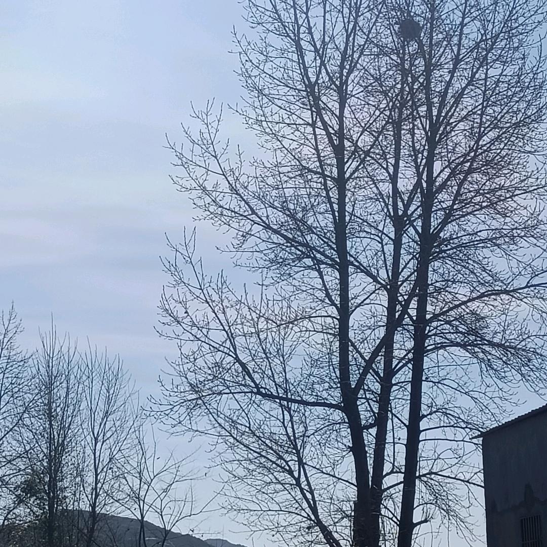 💖💖余生💗💗随意