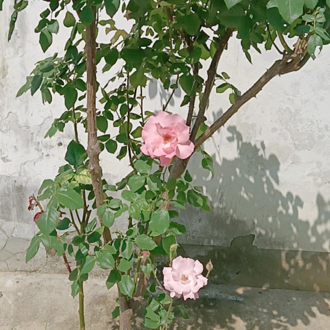 无所谓