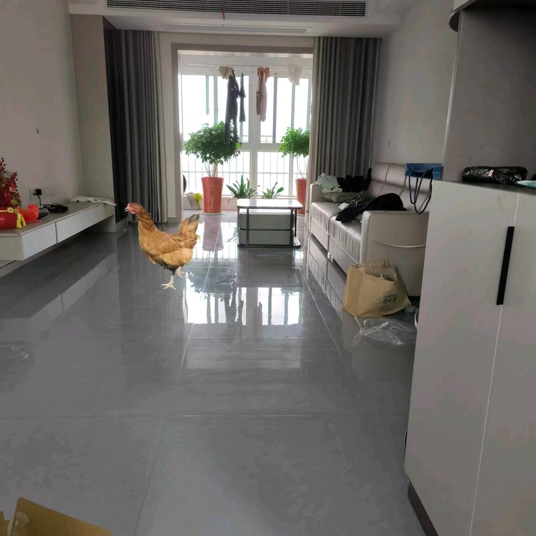 天下靳氏一家亲