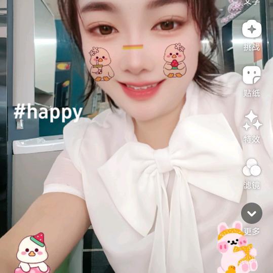汉中厨卫燕子