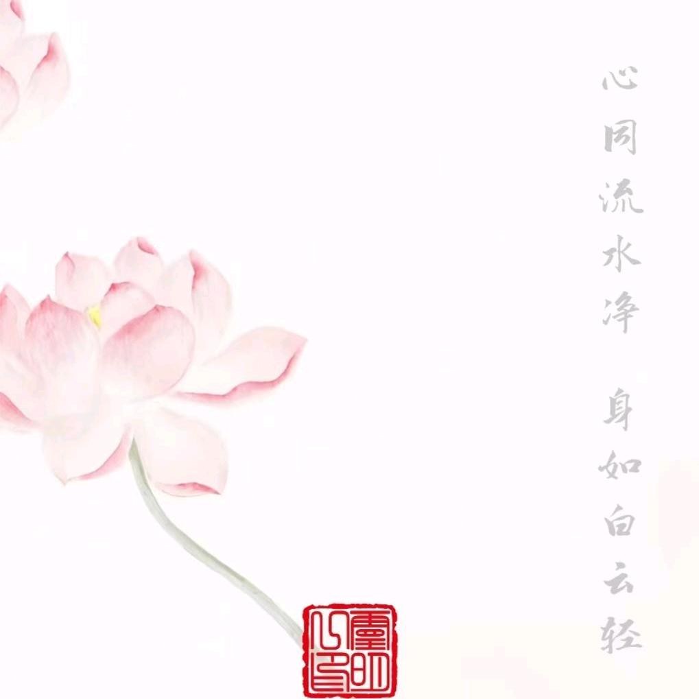 P兜兜