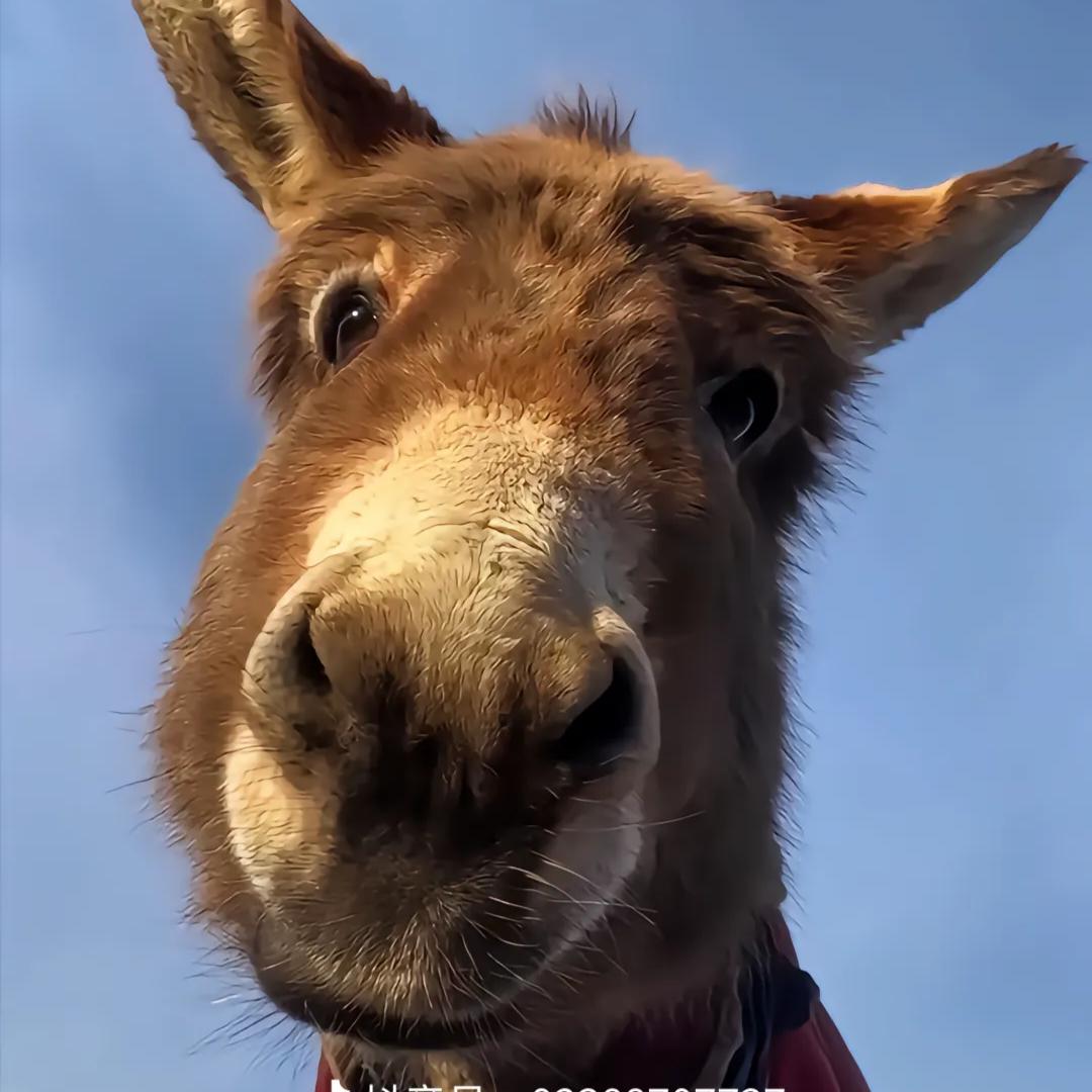 ‰