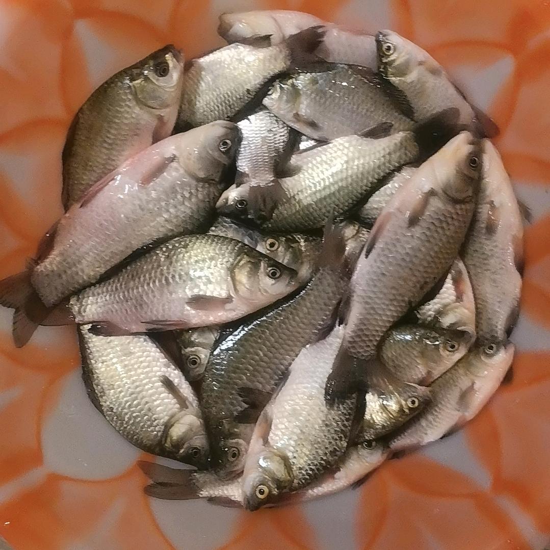 漂不动护不湿