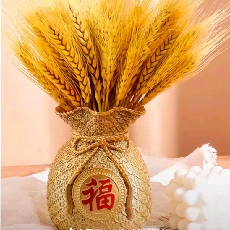 源宝爱分享(橱窗有好物）