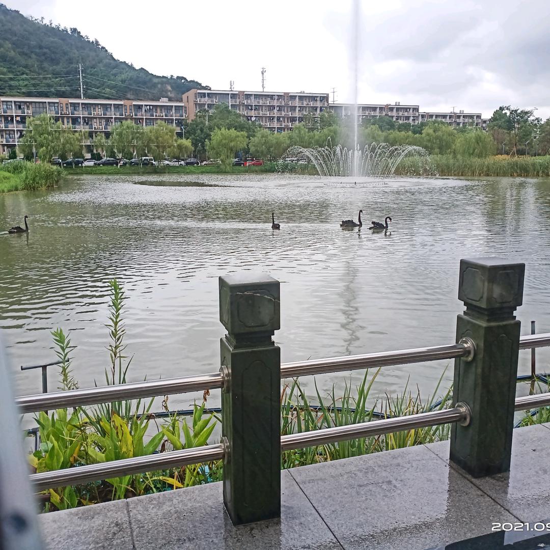 相亲相爱一家人