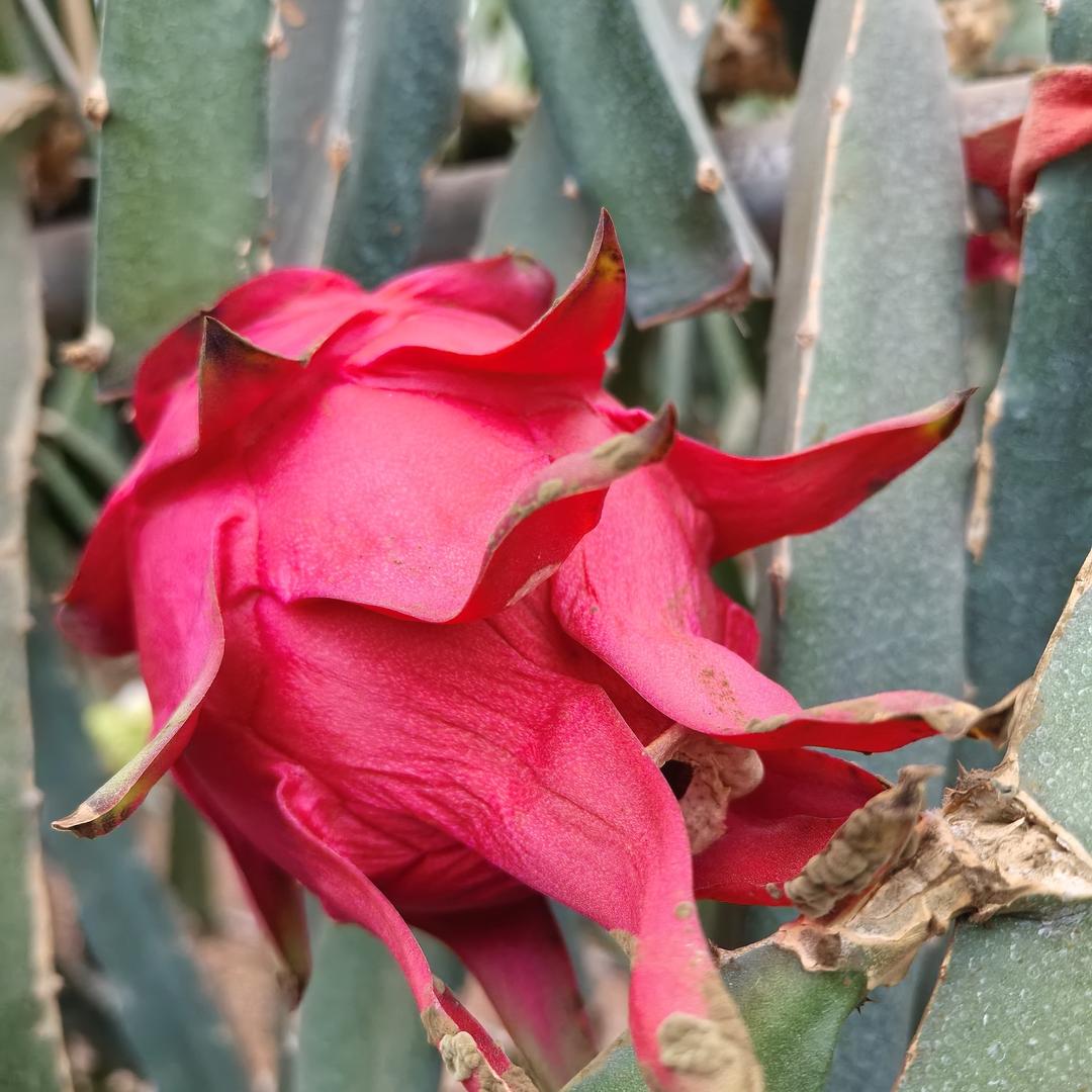 财源滚滚来🇨🇳