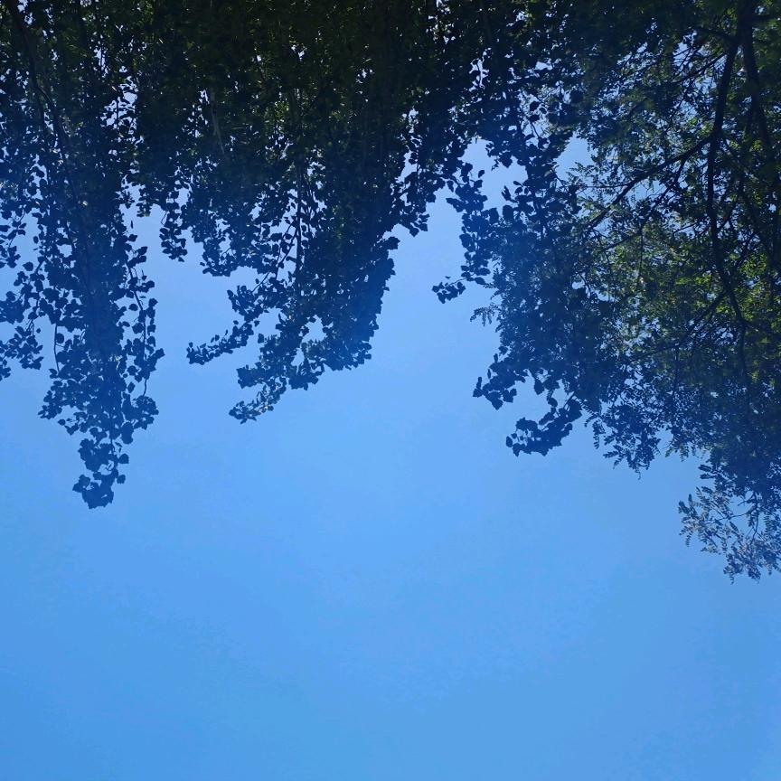 善缘
