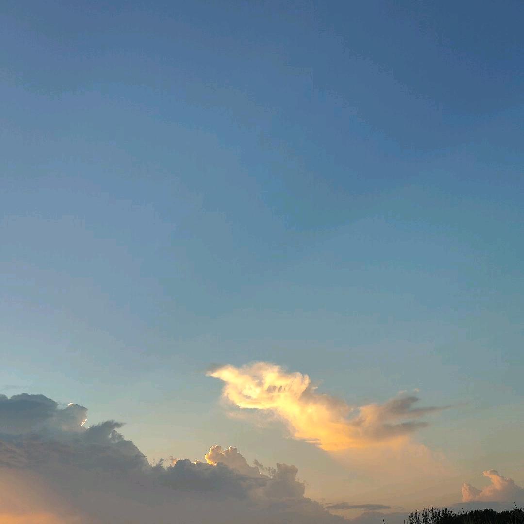 明明说