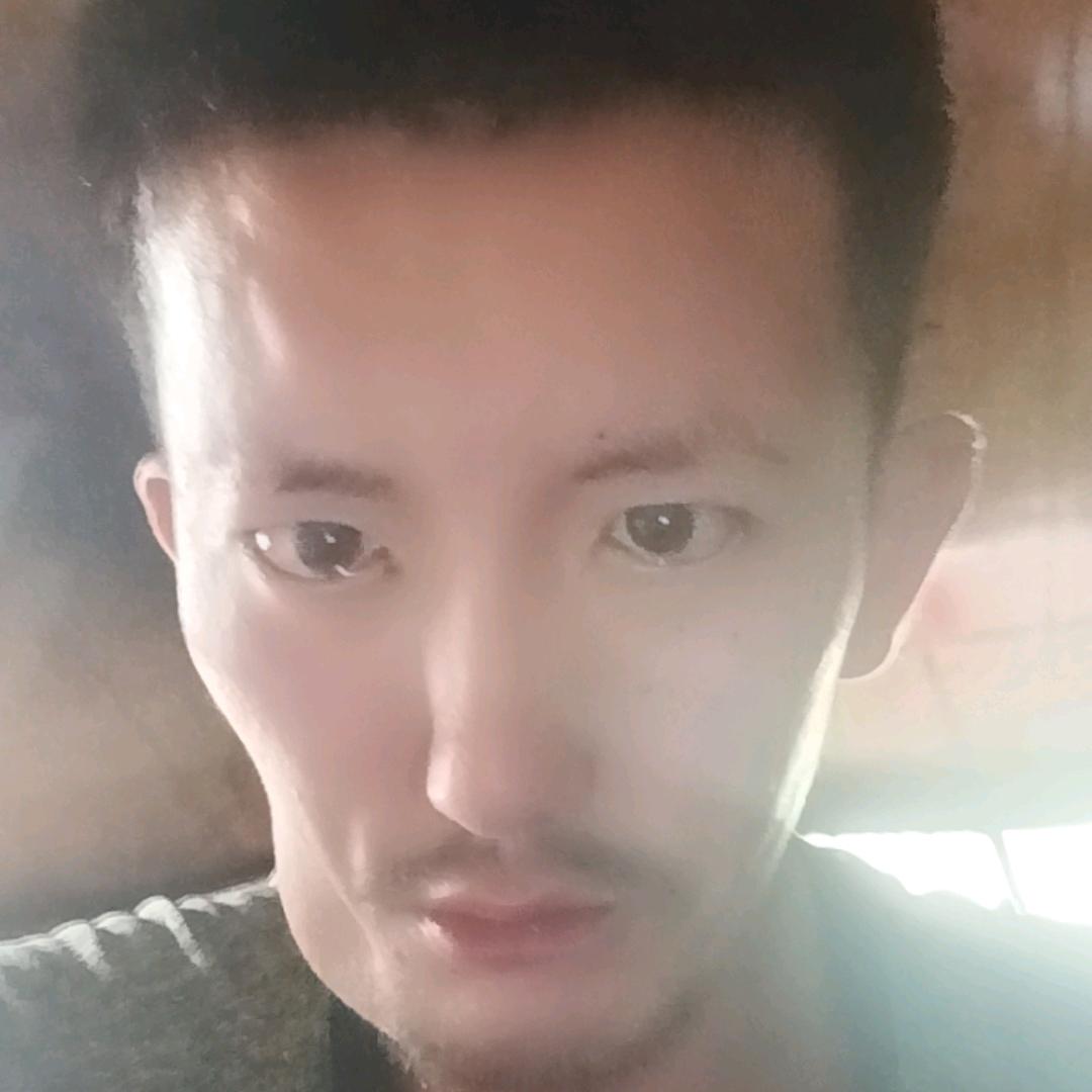 菊