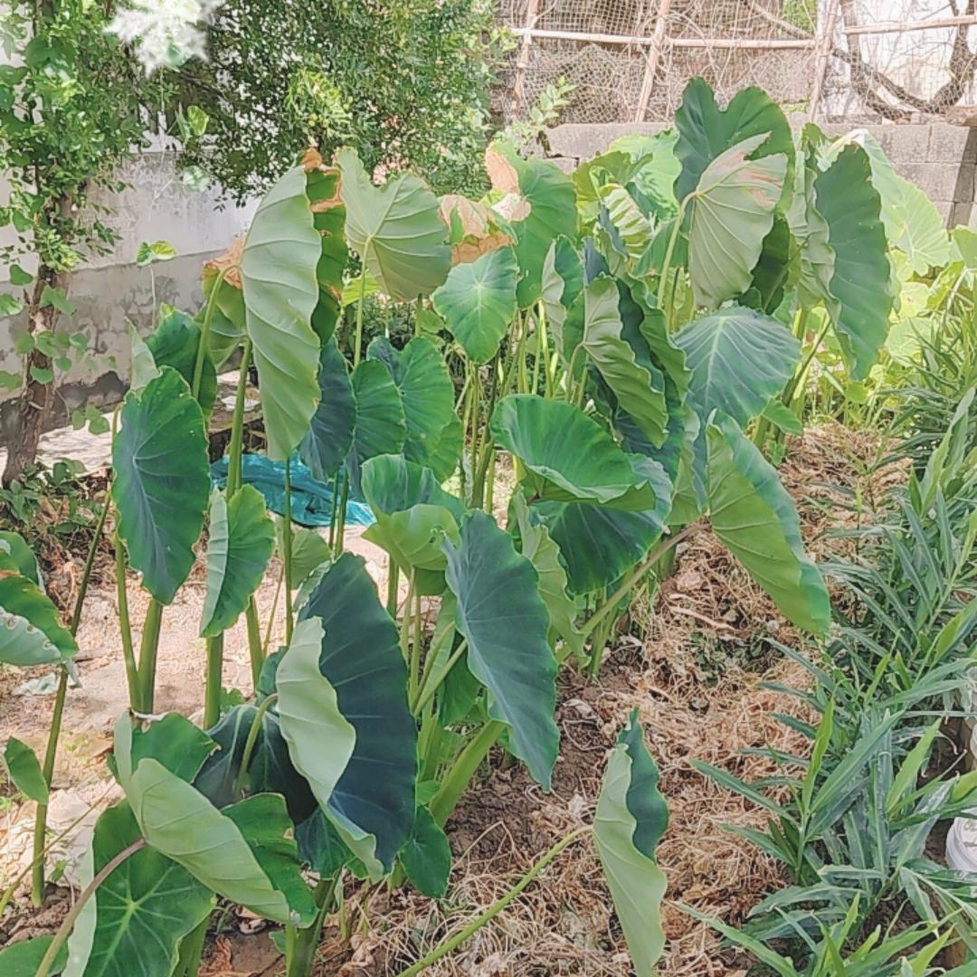 旭缘钱庄
