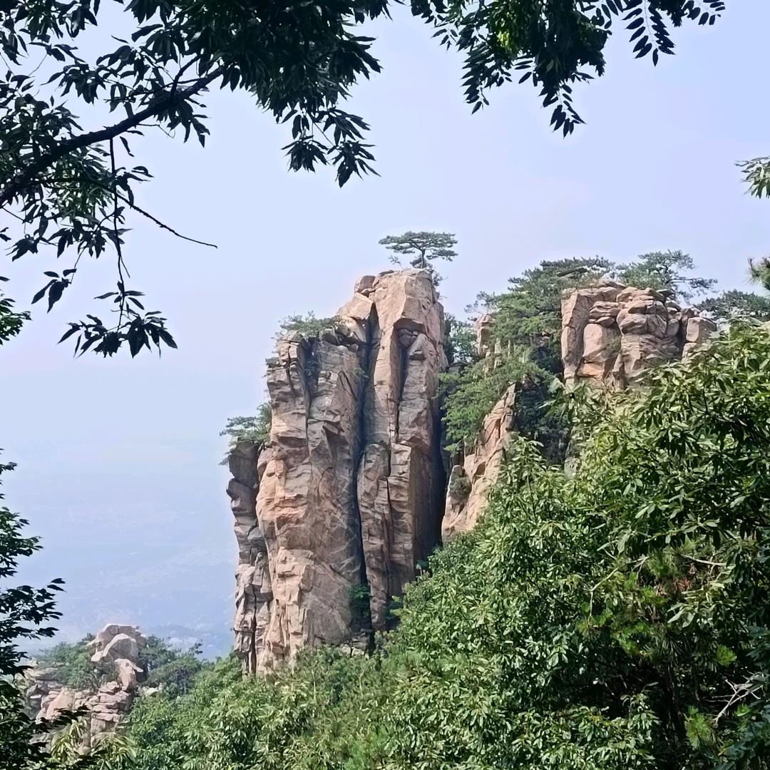 墙布-墙板-墙面翻新