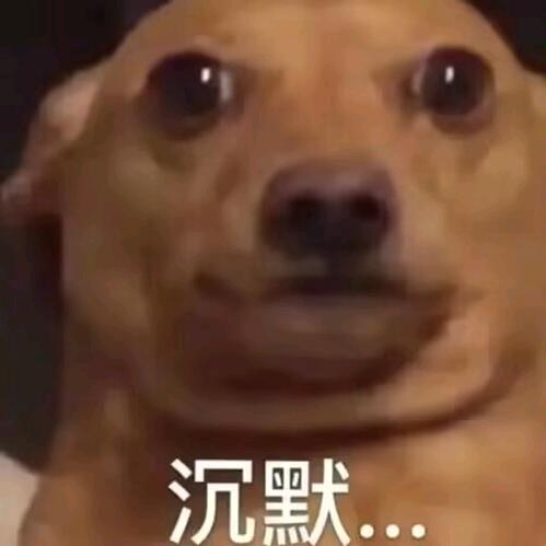 掠影大人