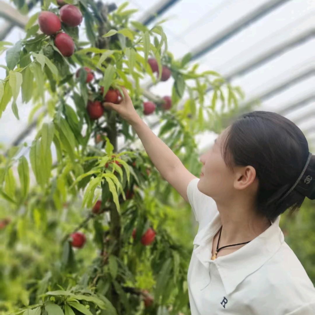 砀山沃林天然水果优品