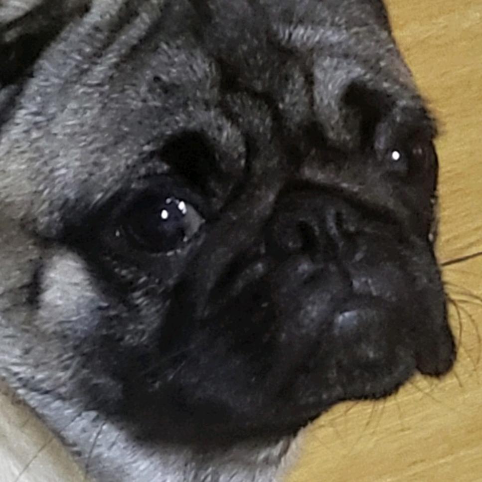 久哥头像
