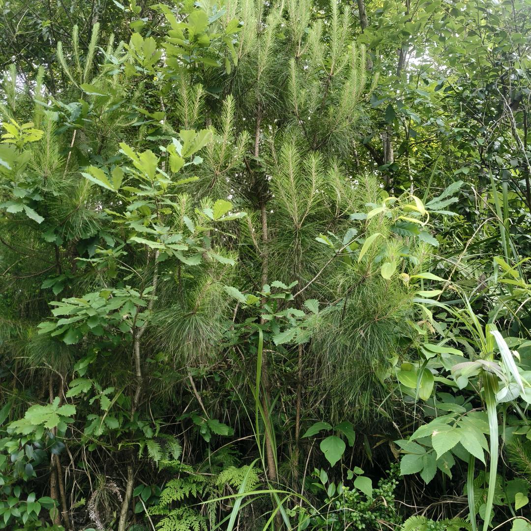 福到家生活超市