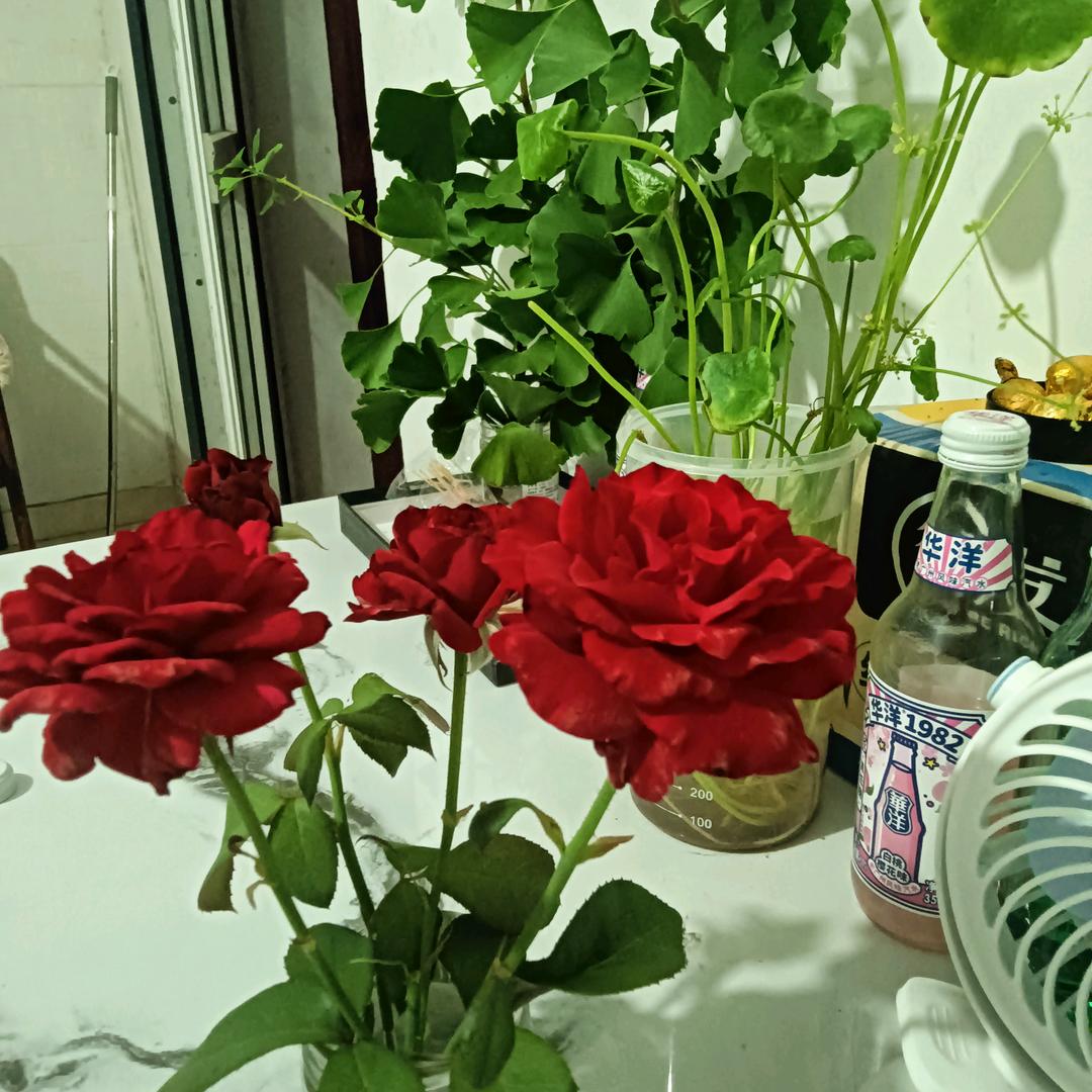 安之若素