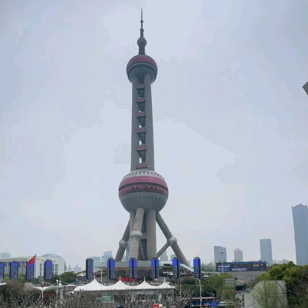 温州乐哥
