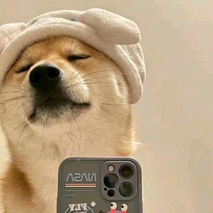 桐城市天盛沐辅材店