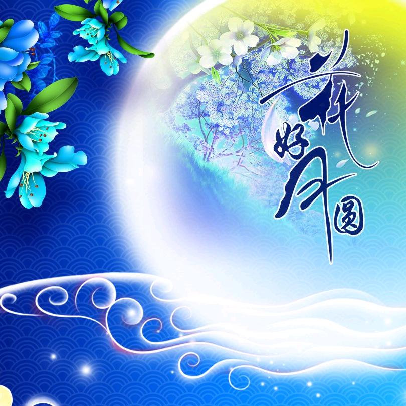 🌸花好月圆