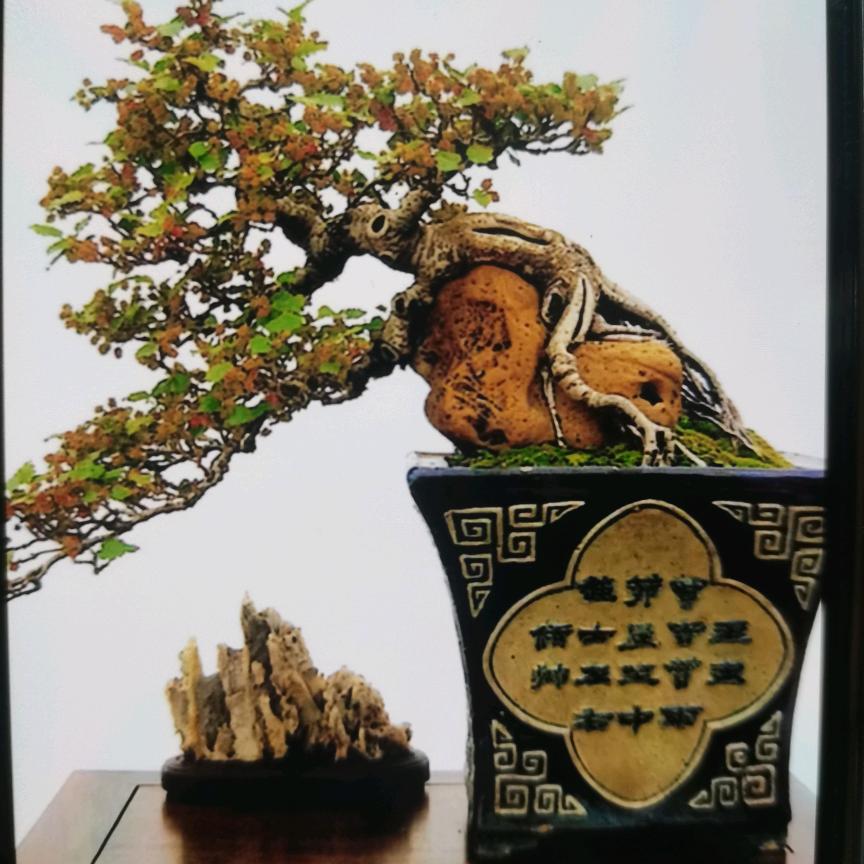 潮汕平