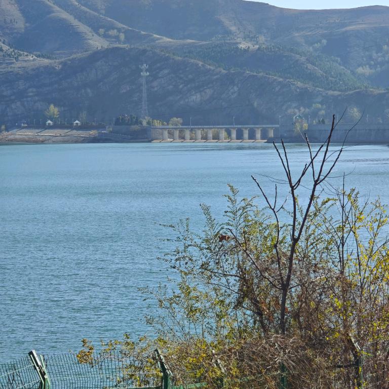 风吹雨打风吹去