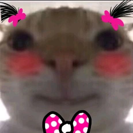 澪lins