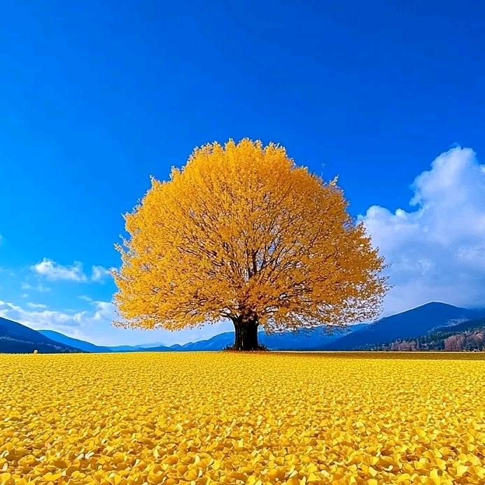 向☀️生长