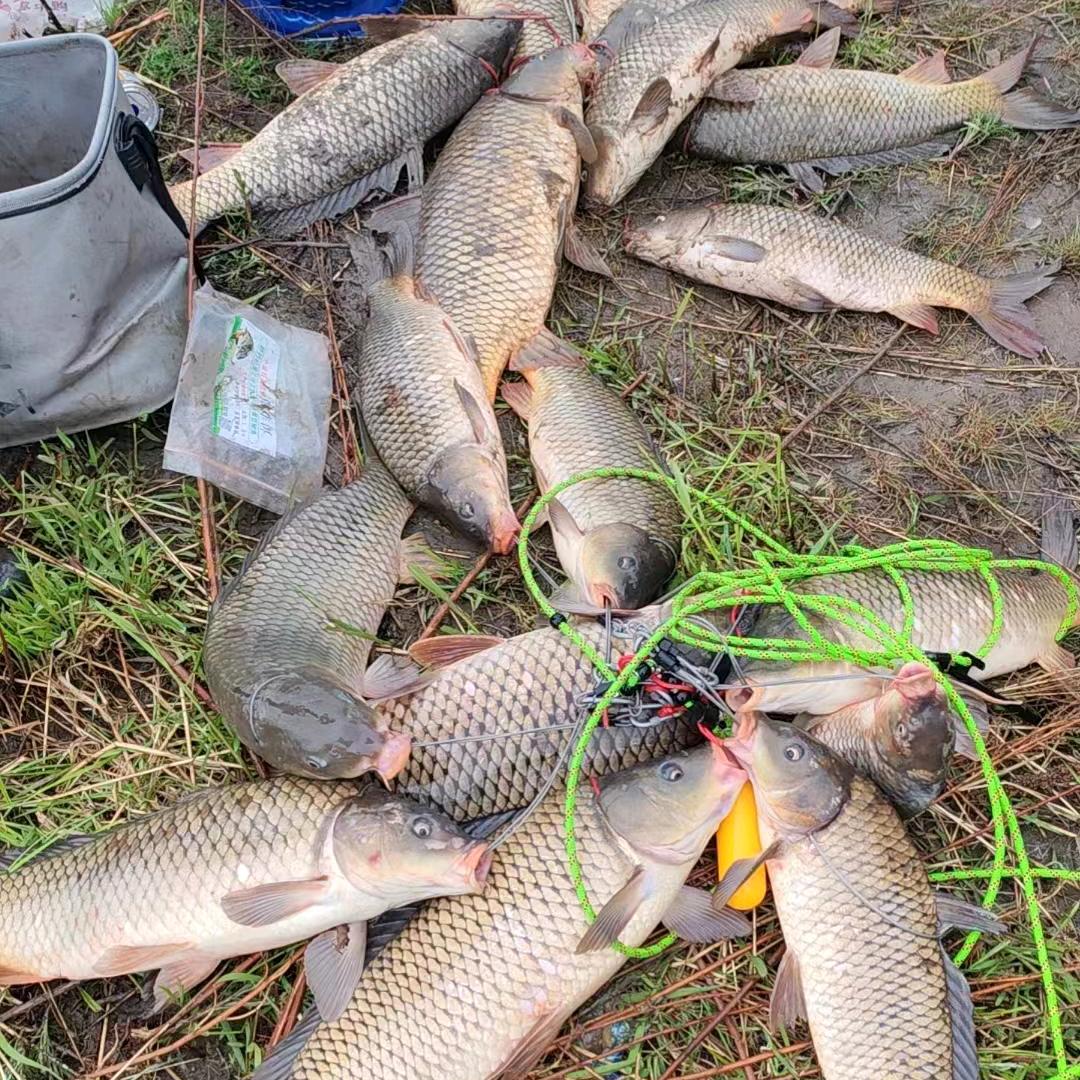 🎣小康